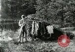 Image of fur industry United States USA, 1930, second 60 stock footage video 65675064354