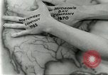 Image of fur industry Alaska USA, 1930, second 22 stock footage video 65675064355