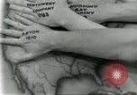 Image of fur industry Alaska USA, 1930, second 24 stock footage video 65675064355
