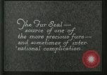 Image of fur industry Alaska USA, 1930, second 35 stock footage video 65675064355