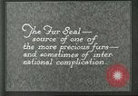 Image of fur industry Alaska USA, 1930, second 37 stock footage video 65675064355