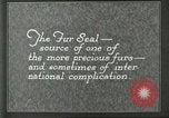 Image of fur industry Alaska USA, 1930, second 38 stock footage video 65675064355