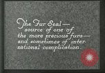 Image of fur industry Alaska USA, 1930, second 41 stock footage video 65675064355