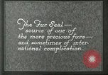Image of fur industry Alaska USA, 1930, second 43 stock footage video 65675064355