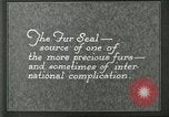 Image of fur industry Alaska USA, 1930, second 46 stock footage video 65675064355