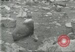 Image of fur industry Alaska USA, 1930, second 51 stock footage video 65675064355