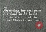 Standbild Pelzindustrie Saint Louis Missouri USA, 1930, aus Sekunde 1 historischem Filmmaterial Videoclip 65675064356