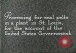 Standbild Pelzindustrie Saint Louis Missouri USA, 1930, aus Sekunde 3 historischem Filmmaterial Videoclip 65675064356