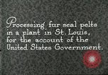 Standbild Pelzindustrie Saint Louis Missouri USA, 1930, aus Sekunde 4 historischem Filmmaterial Videoclip 65675064356