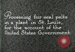 Standbild Pelzindustrie Saint Louis Missouri USA, 1930, aus Sekunde 5 historischem Filmmaterial Videoclip 65675064356