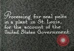 Standbild Pelzindustrie Saint Louis Missouri USA, 1930, aus Sekunde 6 historischem Filmmaterial Videoclip 65675064356