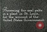 Standbild Pelzindustrie Saint Louis Missouri USA, 1930, aus Sekunde 7 historischem Filmmaterial Videoclip 65675064356