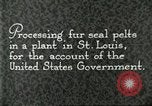 Standbild Pelzindustrie Saint Louis Missouri USA, 1930, aus Sekunde 8 historischem Filmmaterial Videoclip 65675064356