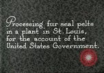 Standbild Pelzindustrie Saint Louis Missouri USA, 1930, aus Sekunde 9 historischem Filmmaterial Videoclip 65675064356