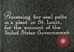 Standbild Pelzindustrie Saint Louis Missouri USA, 1930, aus Sekunde 10 historischem Filmmaterial Videoclip 65675064356