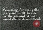 Standbild Pelzindustrie Saint Louis Missouri USA, 1930, aus Sekunde 11 historischem Filmmaterial Videoclip 65675064356
