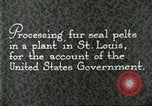 Standbild Pelzindustrie Saint Louis Missouri USA, 1930, aus Sekunde 12 historischem Filmmaterial Videoclip 65675064356