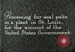 Standbild Pelzindustrie Saint Louis Missouri USA, 1930, aus Sekunde 13 historischem Filmmaterial Videoclip 65675064356
