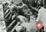 Standbild Pelzindustrie Saint Louis Missouri USA, 1930, aus Sekunde 29 historischem Filmmaterial Videoclip 65675064356