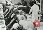 Standbild Pelzindustrie Saint Louis Missouri USA, 1930, aus Sekunde 30 historischem Filmmaterial Videoclip 65675064356