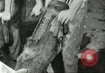 Standbild Pelzindustrie Saint Louis Missouri USA, 1930, aus Sekunde 31 historischem Filmmaterial Videoclip 65675064356
