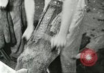 Standbild Pelzindustrie Saint Louis Missouri USA, 1930, aus Sekunde 32 historischem Filmmaterial Videoclip 65675064356