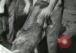 Standbild Pelzindustrie Saint Louis Missouri USA, 1930, aus Sekunde 34 historischem Filmmaterial Videoclip 65675064356