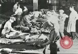 Standbild Pelzindustrie Saint Louis Missouri USA, 1930, aus Sekunde 35 historischem Filmmaterial Videoclip 65675064356