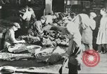 Standbild Pelzindustrie Saint Louis Missouri USA, 1930, aus Sekunde 36 historischem Filmmaterial Videoclip 65675064356