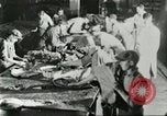 Standbild Pelzindustrie Saint Louis Missouri USA, 1930, aus Sekunde 40 historischem Filmmaterial Videoclip 65675064356