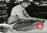 Standbild Pelzindustrie Saint Louis Missouri USA, 1930, aus Sekunde 43 historischem Filmmaterial Videoclip 65675064356