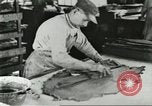 Standbild Pelzindustrie Saint Louis Missouri USA, 1930, aus Sekunde 46 historischem Filmmaterial Videoclip 65675064356