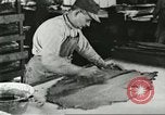Standbild Pelzindustrie Saint Louis Missouri USA, 1930, aus Sekunde 47 historischem Filmmaterial Videoclip 65675064356
