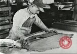 Standbild Pelzindustrie Saint Louis Missouri USA, 1930, aus Sekunde 49 historischem Filmmaterial Videoclip 65675064356