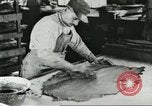 Standbild Pelzindustrie Saint Louis Missouri USA, 1930, aus Sekunde 50 historischem Filmmaterial Videoclip 65675064356