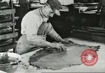 Standbild Pelzindustrie Saint Louis Missouri USA, 1930, aus Sekunde 54 historischem Filmmaterial Videoclip 65675064356
