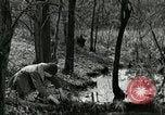 Immagine di Industria Conciaria United States USA, 1930, secondo 14 filmato di repertorio 65675064357