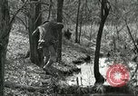 Immagine di Industria Conciaria United States USA, 1930, secondo 29 filmato di repertorio 65675064357