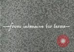 Immagine di Industria Conciaria United States USA, 1930, secondo 33 filmato di repertorio 65675064357
