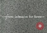 Immagine di Industria Conciaria United States USA, 1930, secondo 34 filmato di repertorio 65675064357
