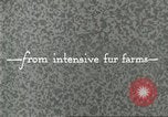 Immagine di Industria Conciaria United States USA, 1930, secondo 35 filmato di repertorio 65675064357