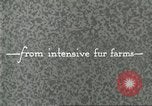 Immagine di Industria Conciaria United States USA, 1930, secondo 36 filmato di repertorio 65675064357