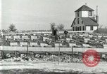 Immagine di Industria Conciaria United States USA, 1930, secondo 39 filmato di repertorio 65675064357
