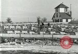 Immagine di Industria Conciaria United States USA, 1930, secondo 42 filmato di repertorio 65675064357