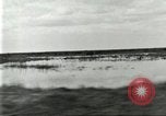 Immagine di Industria Conciaria United States USA, 1930, secondo 52 filmato di repertorio 65675064357