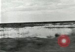 Immagine di Industria Conciaria United States USA, 1930, secondo 53 filmato di repertorio 65675064357