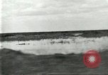 Immagine di Industria Conciaria United States USA, 1930, secondo 55 filmato di repertorio 65675064357