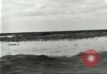 Immagine di Industria Conciaria United States USA, 1930, secondo 56 filmato di repertorio 65675064357