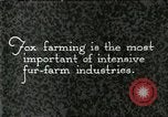 Immagine di Industria Conciaria United States USA, 1930, secondo 1 filmato di repertorio 65675064358