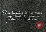 Immagine di Industria Conciaria United States USA, 1930, secondo 4 filmato di repertorio 65675064358